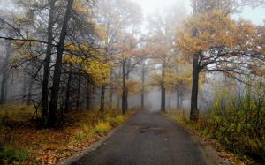 Morning, road, forest, autumn, fog wallpaper thumb