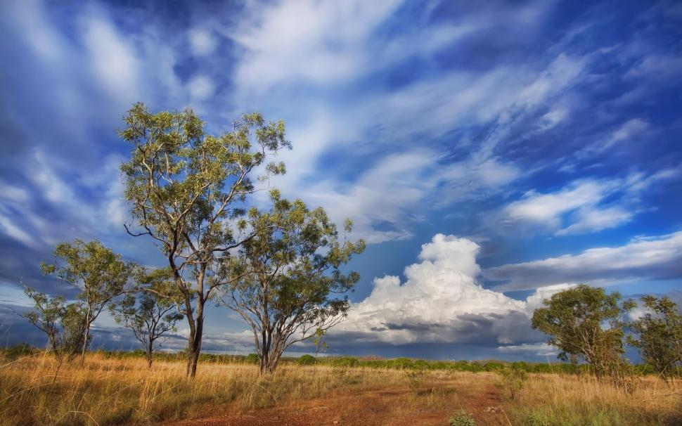 Australia Sky Clouds Tree Desktop Photo wallpaper,landscapes HD wallpaper,australia HD wallpaper,clouds HD wallpaper,desktop HD wallpaper,photo HD wallpaper,tree HD wallpaper,2560x1600 wallpaper
