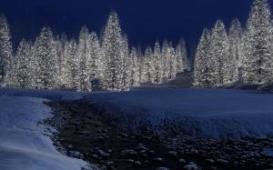 Decorated pine trees wallpaper thumb