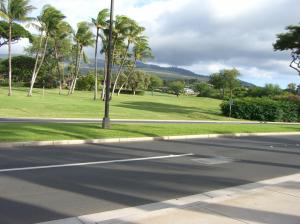 Beautiful Lscape In Front Of The Shop At Wailea, Maui, Hawaii wallpaper thumb