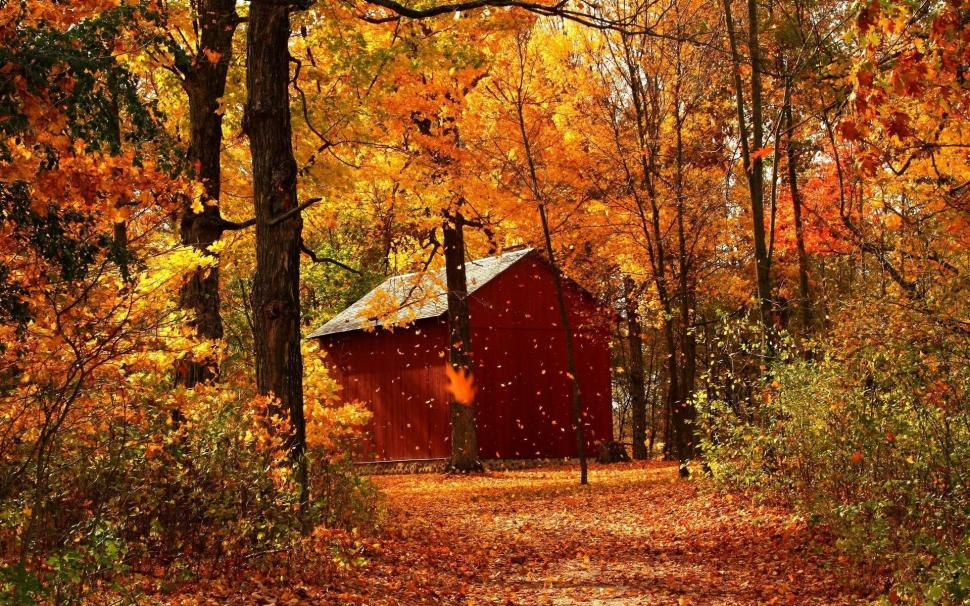 Autumn red maple forest cabins wallpaper,Autumn HD wallpaper,Red HD wallpaper,Maple HD wallpaper,Forest HD wallpaper,Cabins HD wallpaper,1920x1200 wallpaper