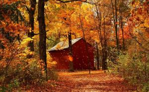 Autumn red maple forest cabins wallpaper thumb