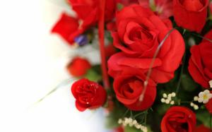 Rose, Flower, Red, Fresh, Love, White wallpaper thumb