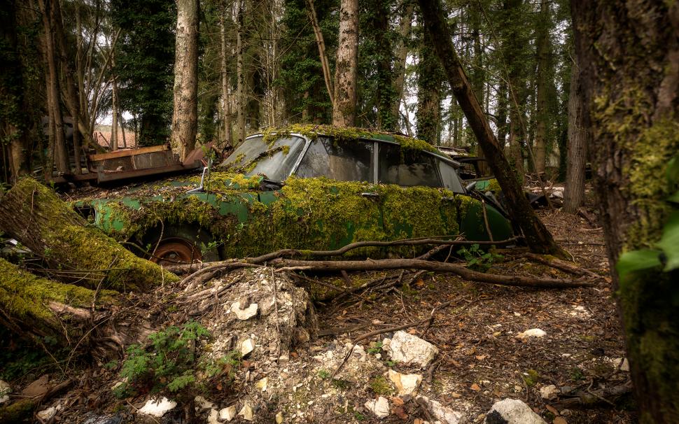 Abandon Deserted Overgrowth Classic Car Classic Forest Trees HD wallpaper,nature HD wallpaper,trees HD wallpaper,car HD wallpaper,forest HD wallpaper,classic HD wallpaper,abandon HD wallpaper,deserted HD wallpaper,overgrowth HD wallpaper,1920x1200 wallpaper
