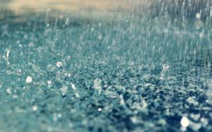 Macro Water Drops Water Rain HD wallpaper thumb