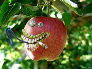 crazy apple Apple fruit hang smoke teeth Tongue Tree HD wallpaper thumb