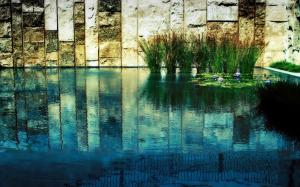 Ponds, Water Plants, Reflection, Nature wallpaper thumb