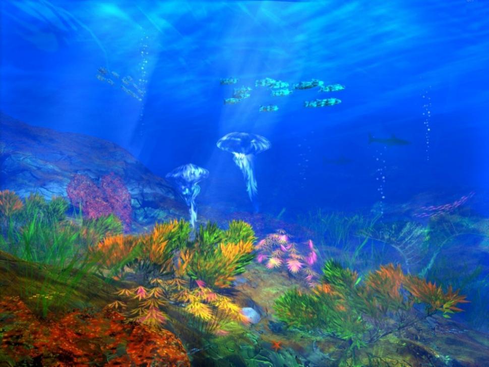 Under sea Abstract coral fish ocean HD wallpaper,abstract wallpaper,ocean wallpaper,fish wallpaper,coral wallpaper,1024x768 wallpaper