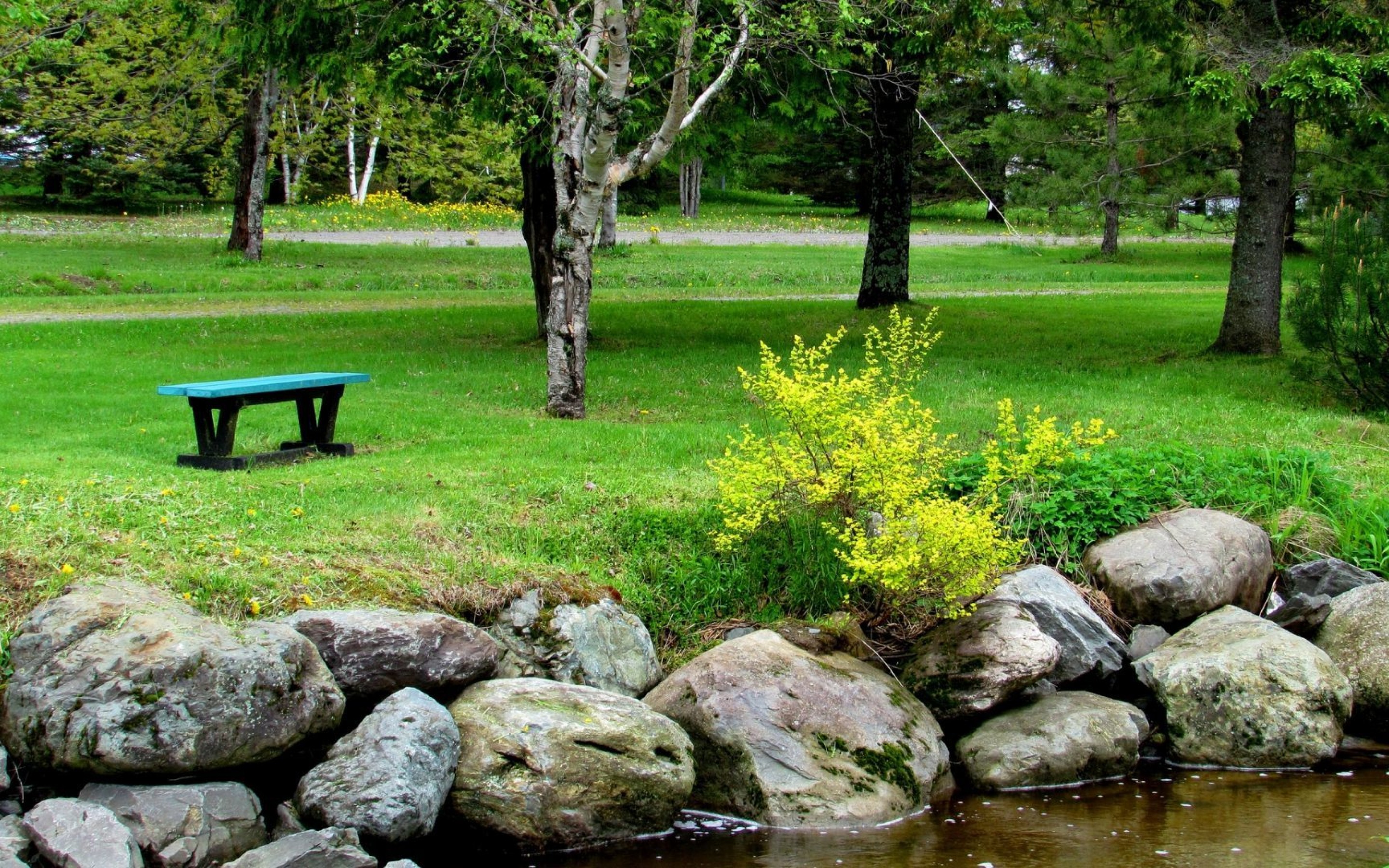 Bench in the park wallpaper | nature and landscape | Wallpaper Better