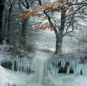 Nature, Winter, Frozen wallpaper thumb
