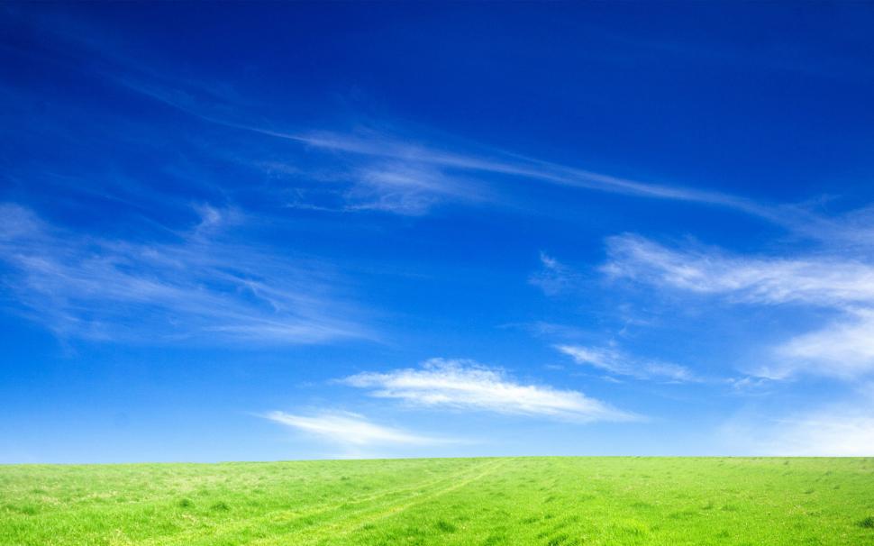 Blue Sky and Green Grass HD wallpaper,nature HD wallpaper,landscape HD wallpaper,blue HD wallpaper,green HD wallpaper,sky HD wallpaper,grass HD wallpaper,and HD wallpaper,1920x1200 wallpaper