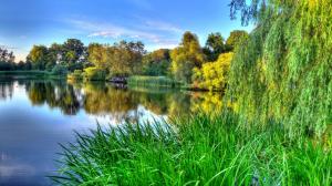 The green of nature, spring, river beauty wallpaper thumb