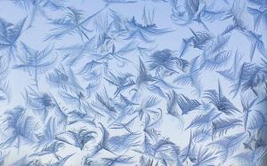 Iceflowers V. wallpaper thumb