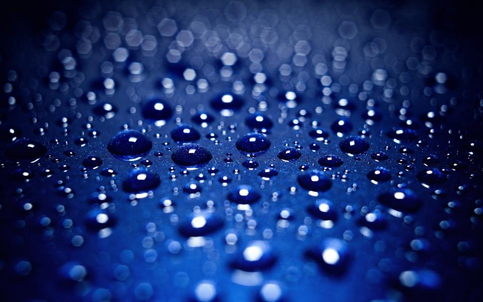Water drops, dew, blue background wallpaper,Water HD wallpaper,Drops HD wallpaper,Dew HD wallpaper,Blue HD wallpaper,Background HD wallpaper,2560x1600 wallpaper