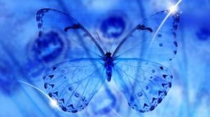 Butterfly Blue wallpaper thumb