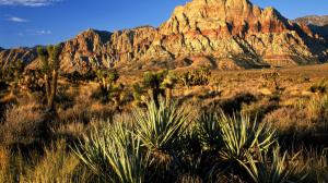 Red Rock Canyon In Nevada wallpaper thumb