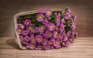 Pink flowers, basket wallpaper thumb