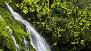 Waterfall Forest Timelapse HD wallpaper thumb