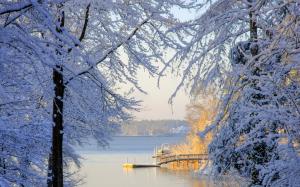 South Carolina Winter Snow Trees Lake Download wallpaper thumb