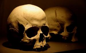Bones, Skull, 3D wallpaper thumb