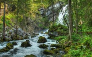 Forest Waterfall River Rocks Landscape Pictures Free wallpaper thumb