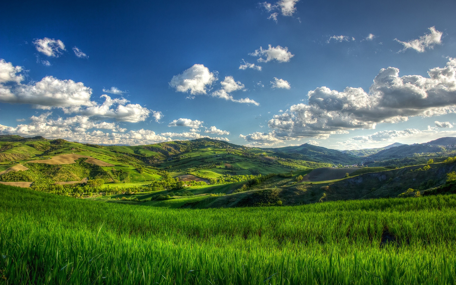 hills-summer-green-fields-tree-clouds-1080P-wallpaper.jpg