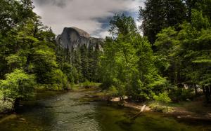 River Trees Forest Mountain Green HD wallpaper thumb