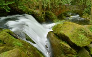 River Waterfall Forest Trees Rocks Stones Moss HD wallpaper thumb