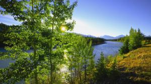 Wonderful River In Jasper Np Alberta Canada wallpaper thumb