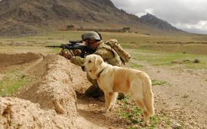 Soldier and Labrador wallpaper thumb