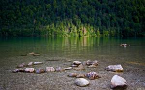 Forest, lake, stones wallpaper thumb