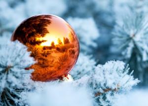 winter, branches, snow, spruce, tree, ball, christmas decorations, reflection, new year wallpaper thumb