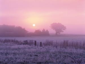 Sunrise Over Frosty Farml Norfolk Engl wallpaper thumb