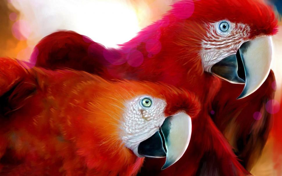 Parrots Widescreen wallpaper,widescreen HD wallpaper,parrots HD wallpaper,animals & birds HD wallpaper,1920x1200 wallpaper