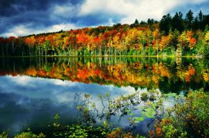Autumn, lake, forest wallpaper thumb