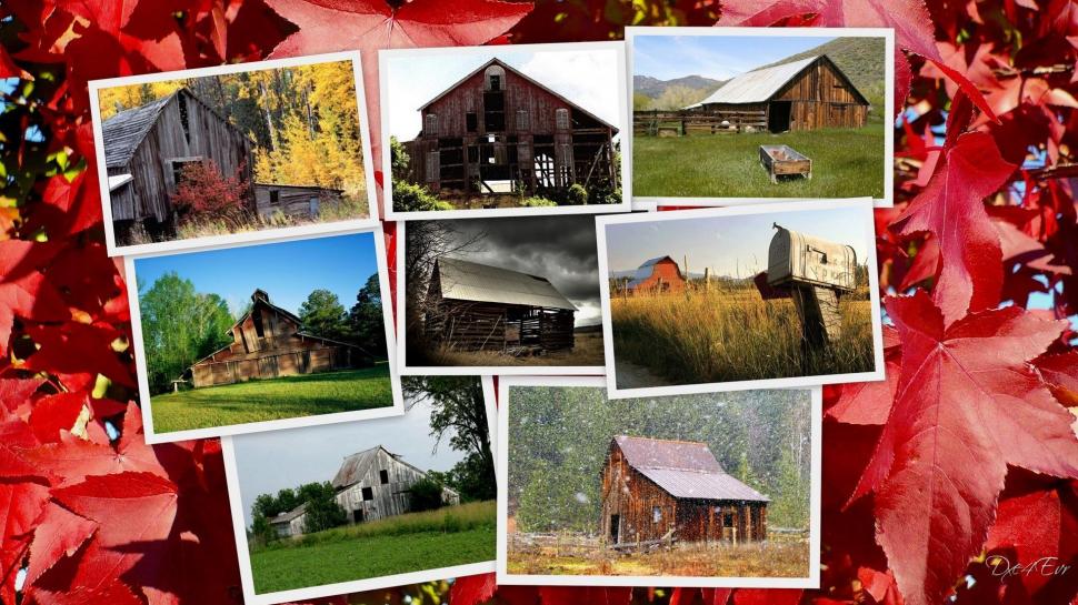 Barns Abound Collage wallpaper,country HD wallpaper,farm HD wallpaper,barns HD wallpaper,fall HD wallpaper,widescreen HD wallpaper,autumn HD wallpaper,animals HD wallpaper,1920x1080 wallpaper