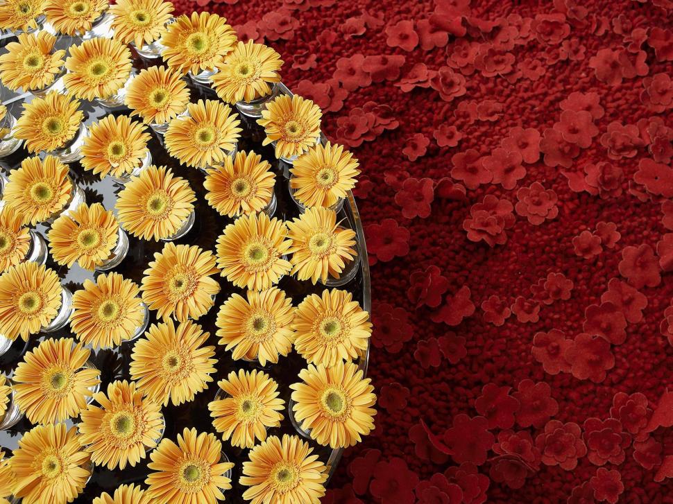 Floral Art Exhibition wallpaper,exhibition wallpaper,floral wallpaper,1600x1200 wallpaper