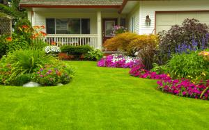 Home, garden, lawn wallpaper thumb