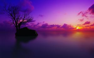 Tree Purple Lake Rock Stone Sunset Clouds Silhouette HD wallpaper thumb