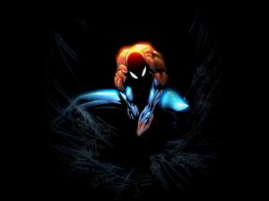 Movies, Super Power, Spider Man, Hero, Nets wallpaper thumb