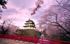 Japan Hirosaki Castle, pink cherry blossoms wallpaper thumb