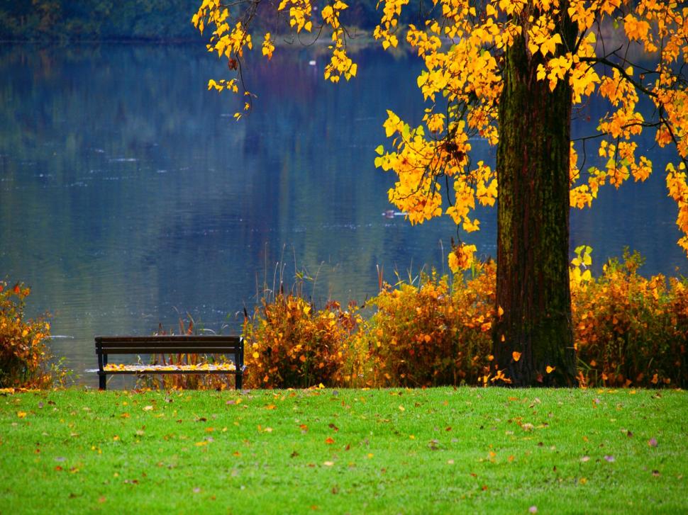 Have A Seat wallpaper,lovely HD wallpaper,relax HD wallpaper,sunny HD wallpaper,lake HD wallpaper,falling HD wallpaper,lakeshore HD wallpaper,rest HD wallpaper,nice HD wallpaper,fall HD wallpaper,leaves HD wallpaper,grass HD wallpaper,shore HD wallpaper,beautiful HD wallpaper,1920x1440 wallpaper