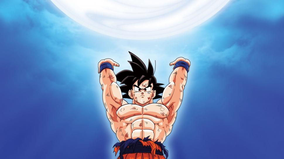 Son Goku Hd Anime Pictures For Widescreen Desktop Wallpaper