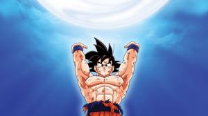 Son Goku HD Anime Pictures For  Widescreen Desktop wallpaper thumb