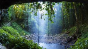 Amazing Spot In A Rain Forest wallpaper thumb