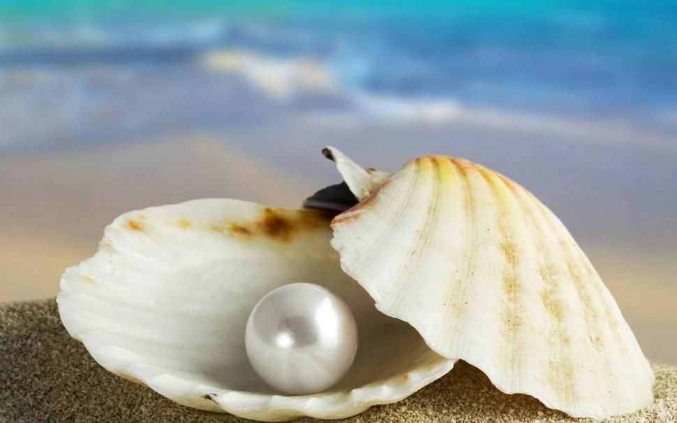 I Found This Pearl In The Sea For You wallpaper,picture HD wallpaper,beije HD wallpaper,nice HD wallpaper,white HD wallpaper,photoshop HD wallpaper,waves HD wallpaper,sand HD wallpaper,wallpaper HD wallpaper,blue HD wallpaper,widescreen HD wallpaper,nacre HD wallpaper,gift HD wallpaper,1920x1200 wallpaper