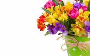 Daffodils and Freesias Bouquet wallpaper thumb