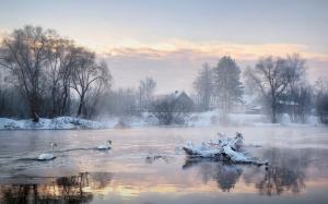 Winter morning, trees, houses, lake, swans wallpaper thumb