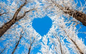 Winter, trees, snow, white, sky, love heart wallpaper thumb