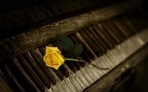 Piano with rose wallpaper thumb